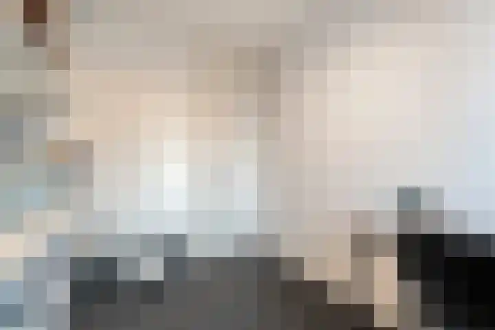 Castorstraat 9 Hardenberg thumbnail 27
