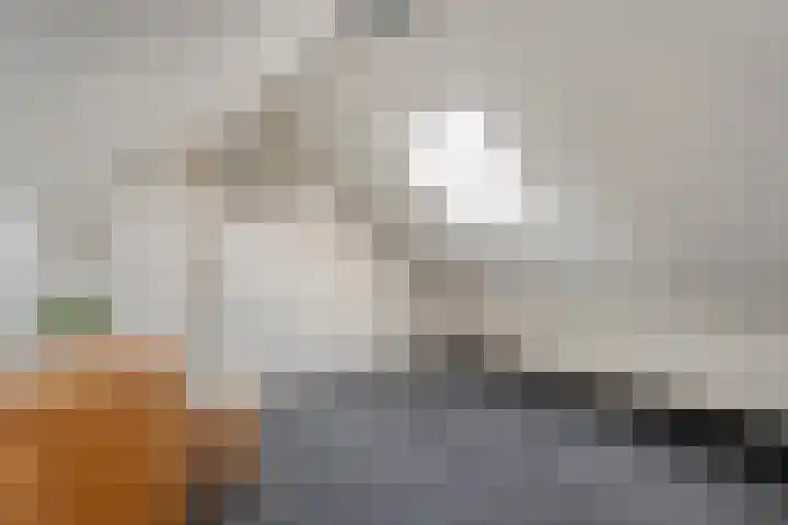 Castorstraat 9 Hardenberg thumbnail 33