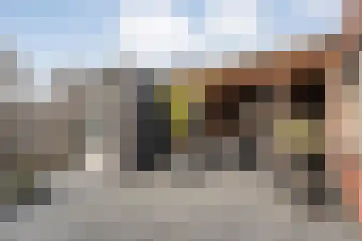 Castorstraat 9 Hardenberg thumbnail 35