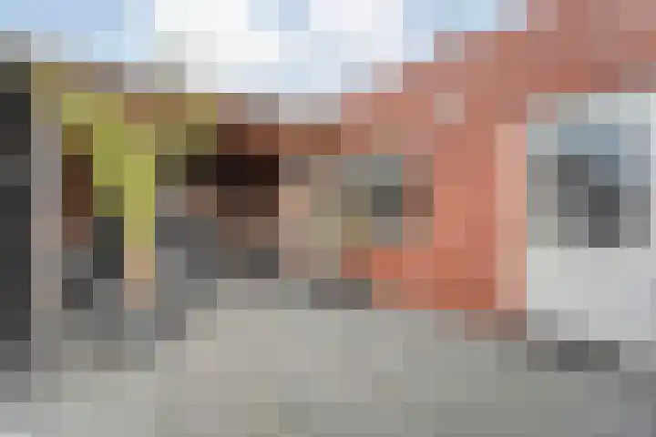 Castorstraat 9 Hardenberg thumbnail 36