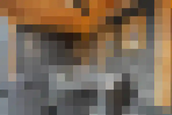Castorstraat 9 Hardenberg thumbnail 38