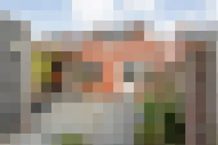Castorstraat 9 Hardenberg thumbnail 39
