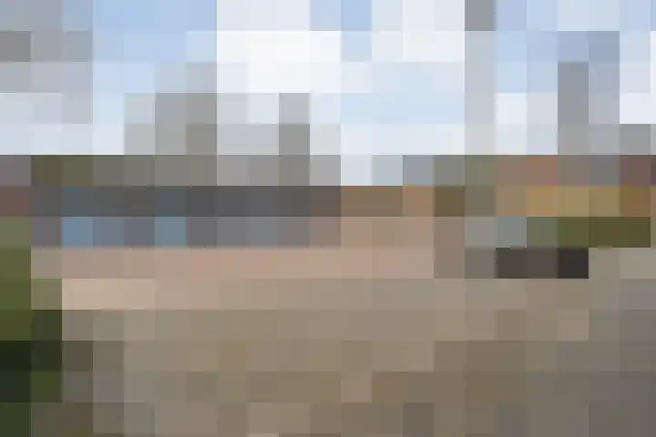 Castorstraat 9 Hardenberg thumbnail 40