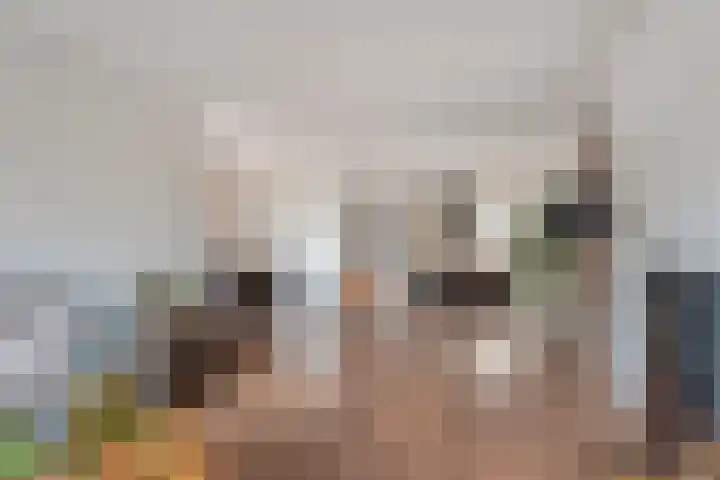 Castorstraat 9 Hardenberg thumbnail 8