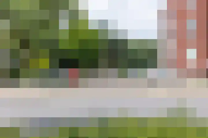 Castorweg 160 14 Hengelo thumbnail 43