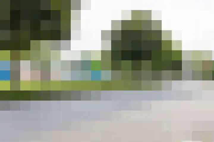 Castorweg 160 14 Hengelo thumbnail 47