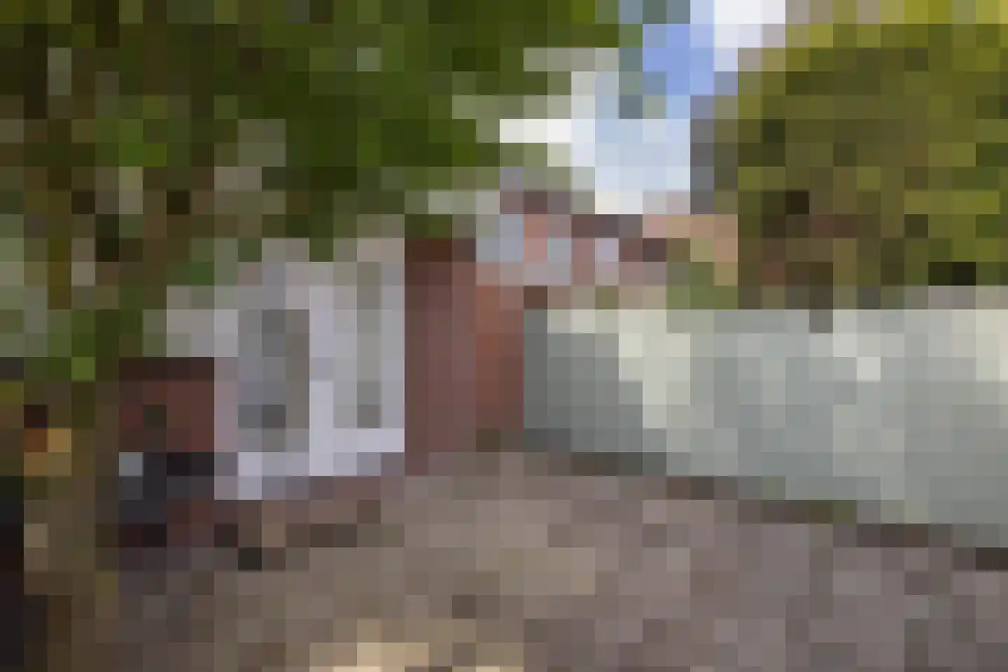 Castorweg 185 Hengelo thumbnail 23
