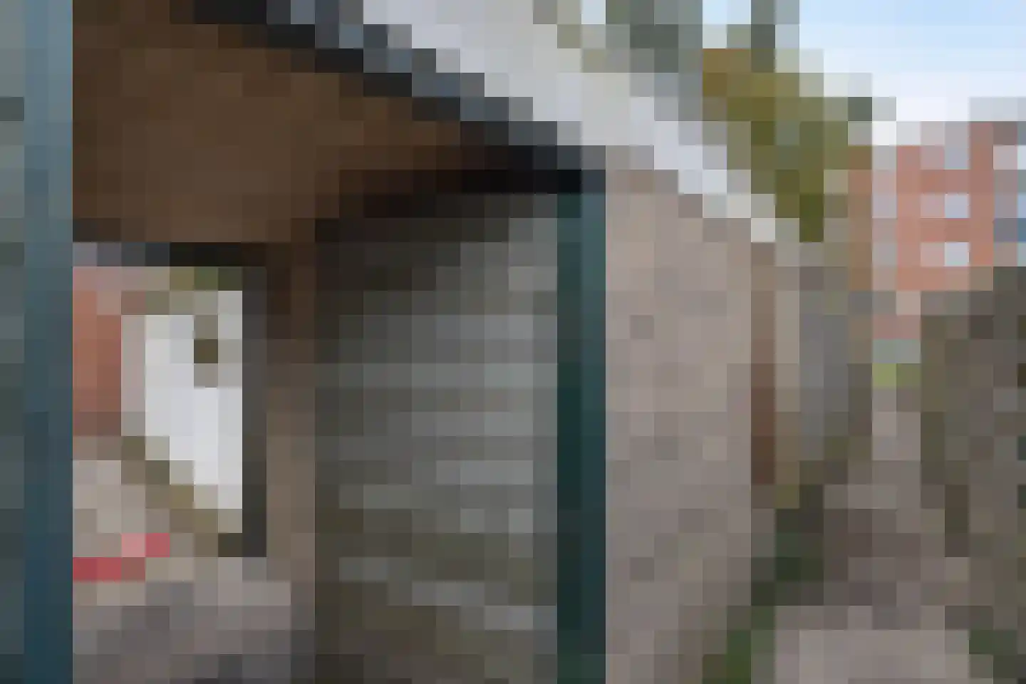 Castorweg 185 Hengelo thumbnail 23