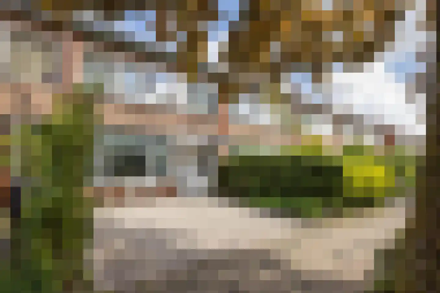 Castorweg 185 Hengelo thumbnail 24