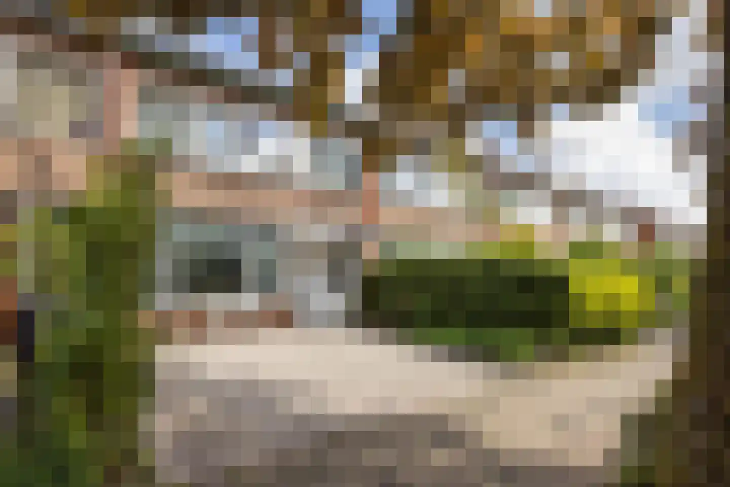 Castorweg 185 Hengelo thumbnail 24