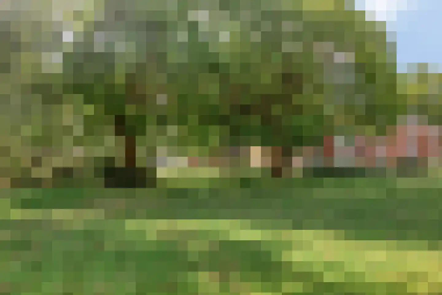 Castorweg 187 Hengelo thumbnail 28