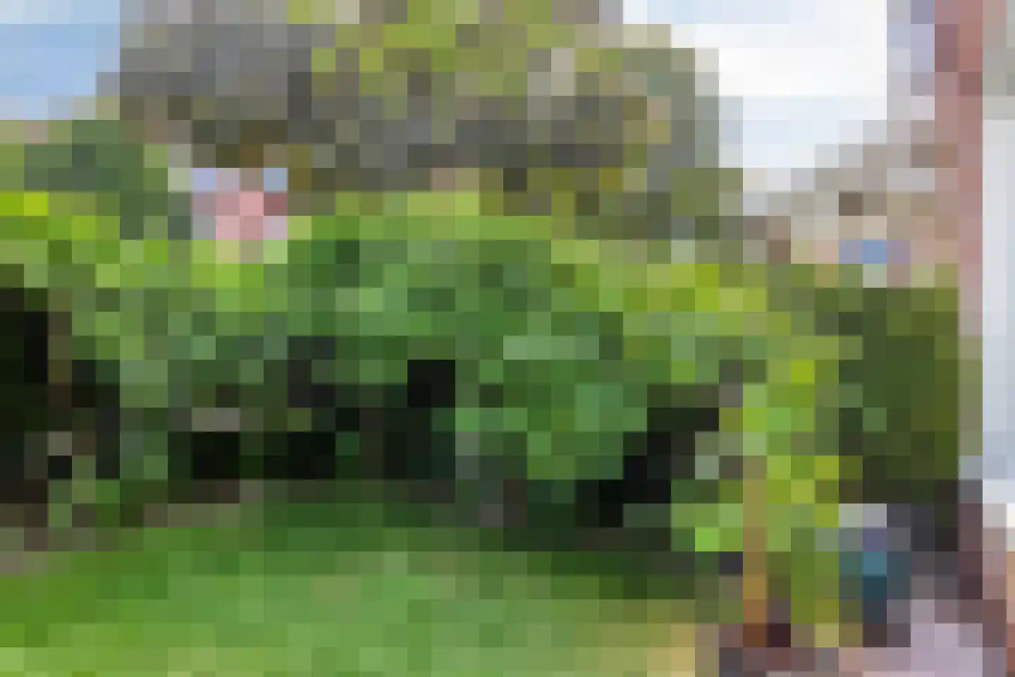 Castorweg 187 Hengelo thumbnail 7
