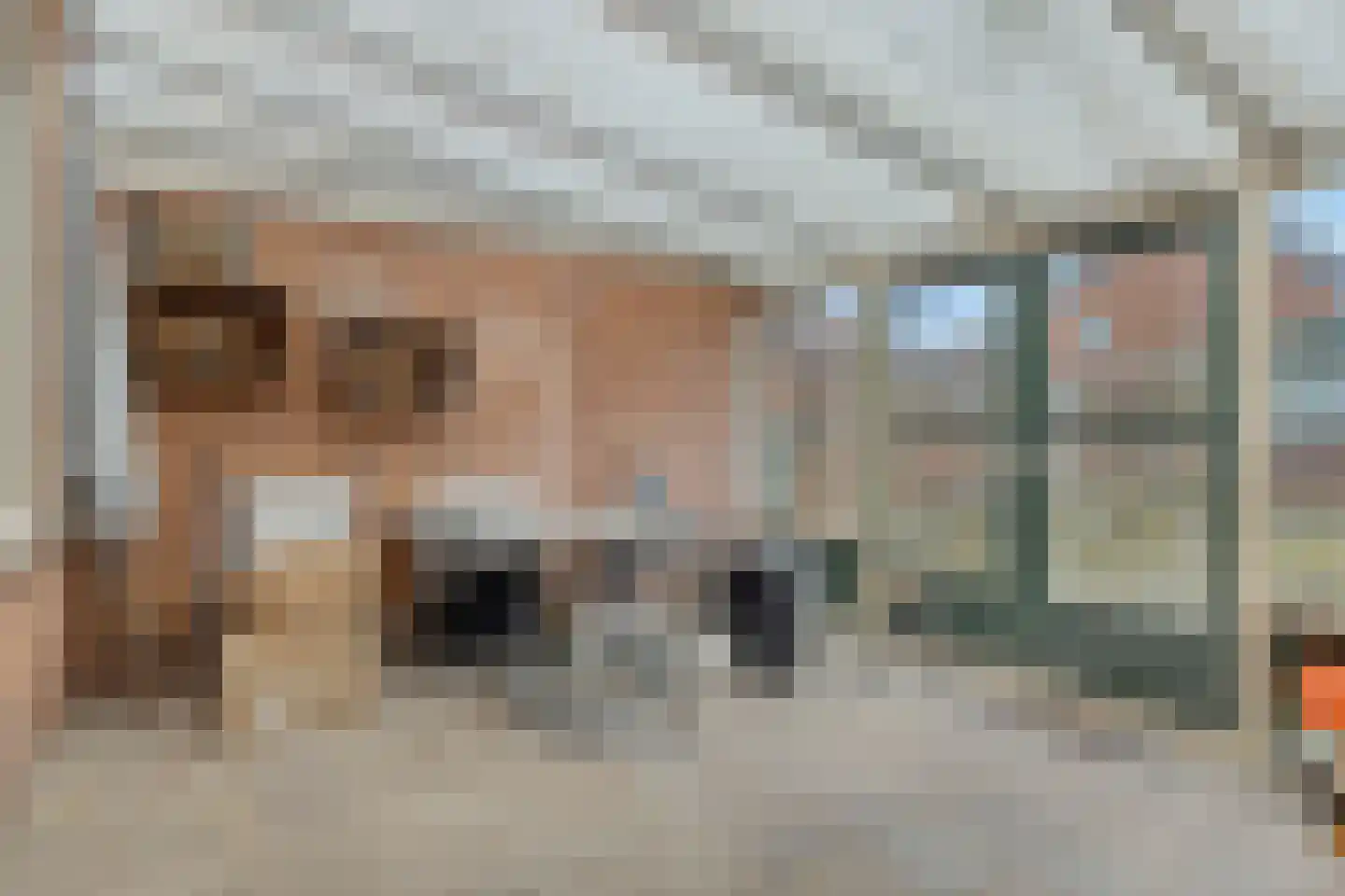 Castorweg 201 Hengelo thumbnail 24