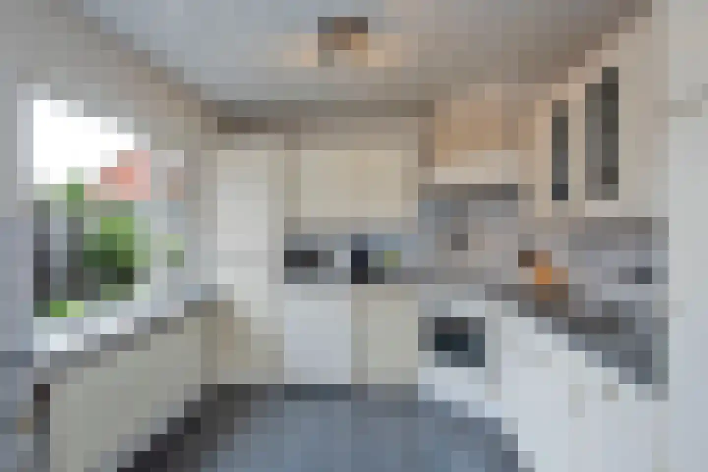 Castorweg 203 Hengelo thumbnail 9