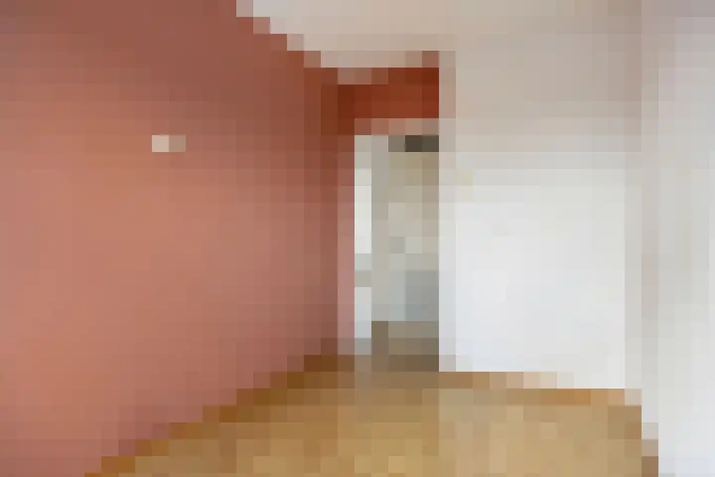 Castorweg 254 Hengelo thumbnail 19