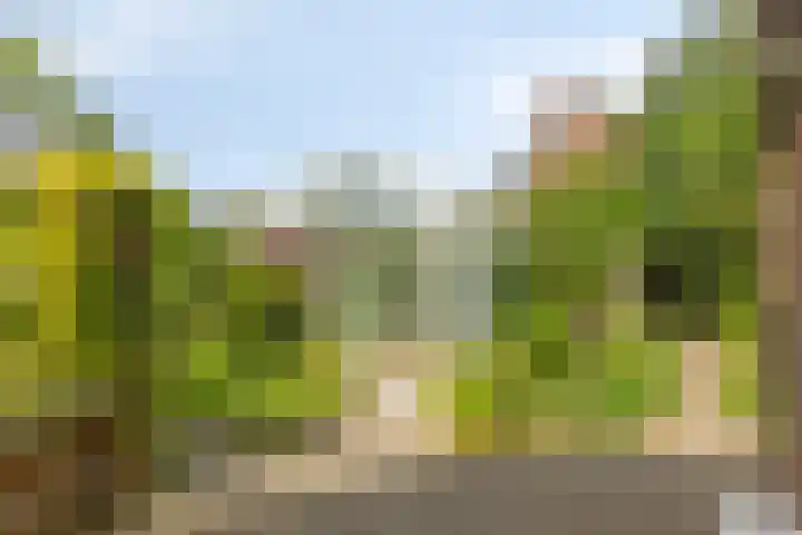 Castorweg 257 Hengelo thumbnail 38