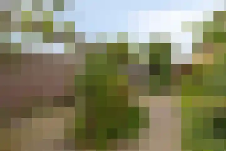Castorweg 257 Hengelo thumbnail 43