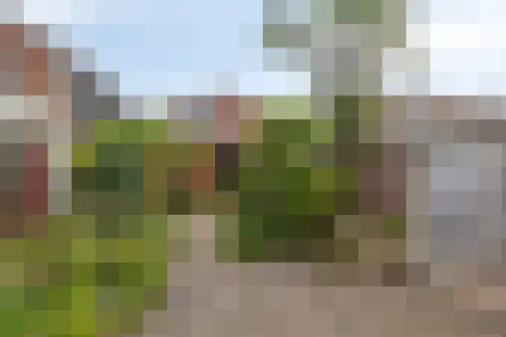 Castorweg 257 Hengelo thumbnail 44