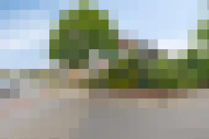 Castorweg 257 Hengelo thumbnail 7