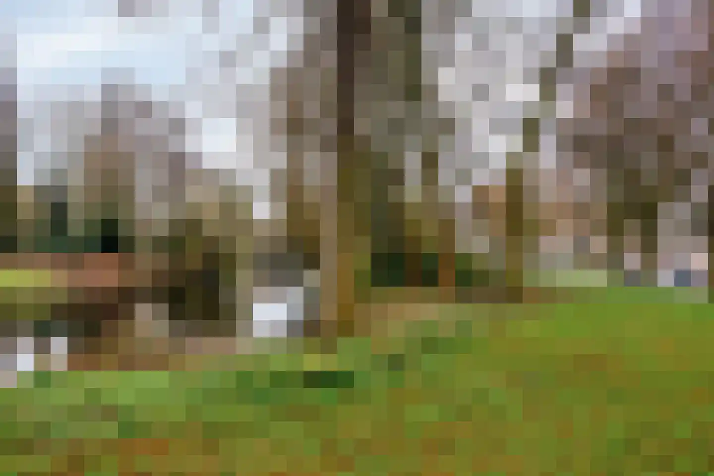 Castorweg 258 Hengelo thumbnail 11