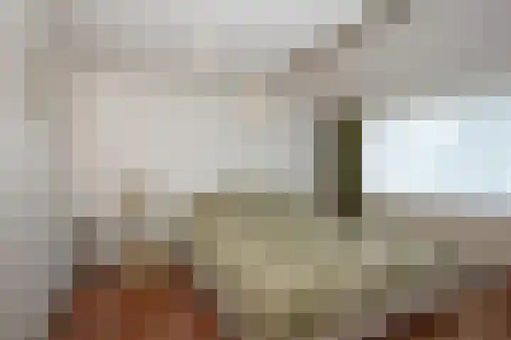 Castorweg 4 Hengelo thumbnail 15
