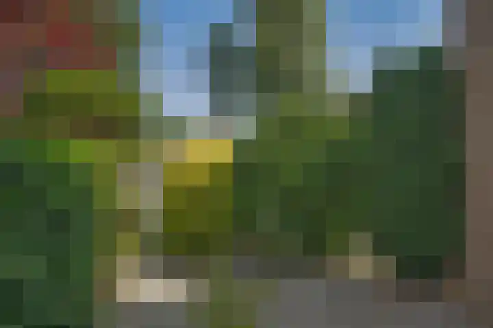 Castorweg 4 Hengelo thumbnail 29