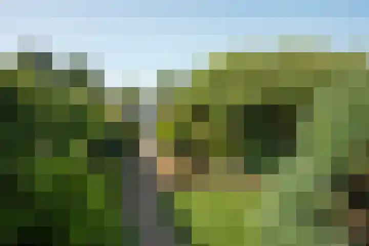 Castorweg 4 Hengelo thumbnail 30