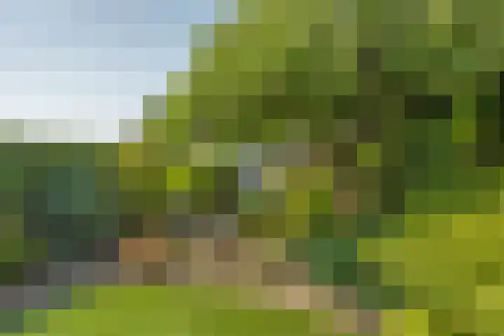 Castorweg 4 Hengelo thumbnail 31