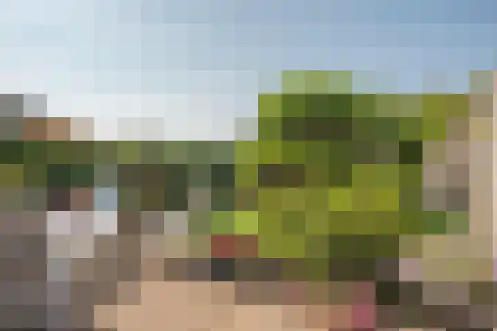 Castorweg 4 Hengelo thumbnail 32