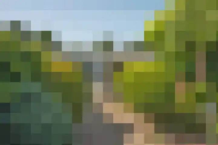 Castorweg 4 Hengelo thumbnail 34