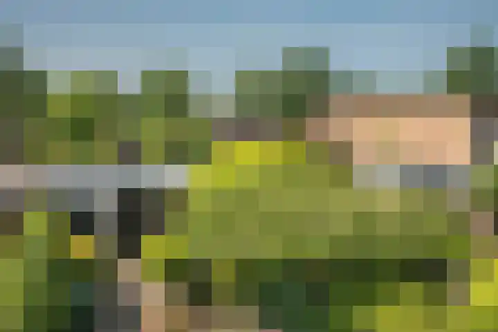 Castorweg 4 Hengelo thumbnail 36