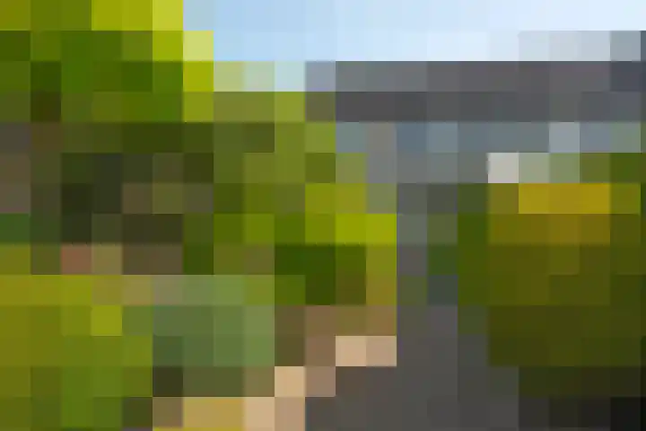 Castorweg 4 Hengelo thumbnail 37