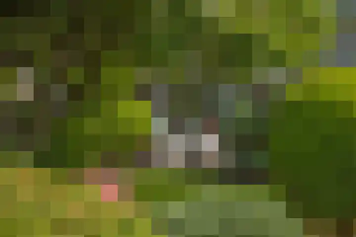 Castorweg 4 Hengelo thumbnail 4