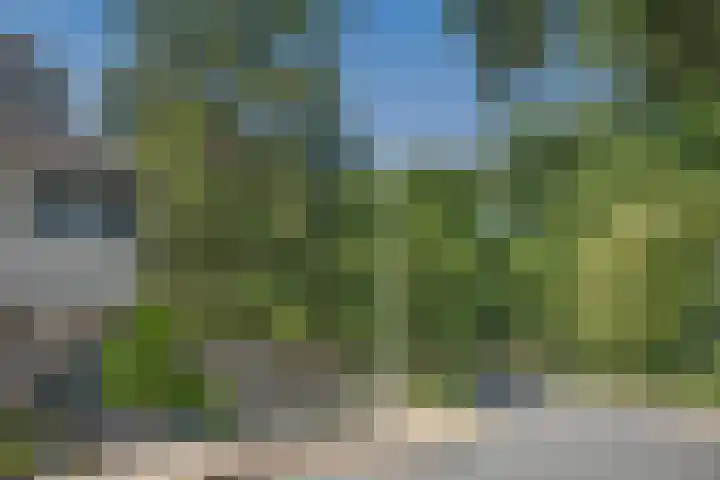 Castorweg 4 Hengelo thumbnail 42