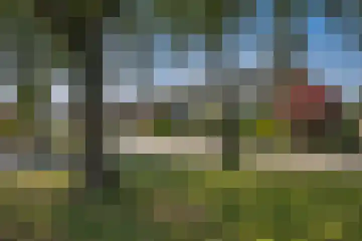 Castorweg 4 Hengelo thumbnail 43