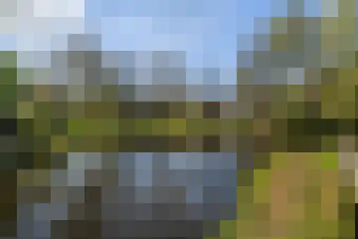 Castricumhoeve 25 Vlaardingen thumbnail 35