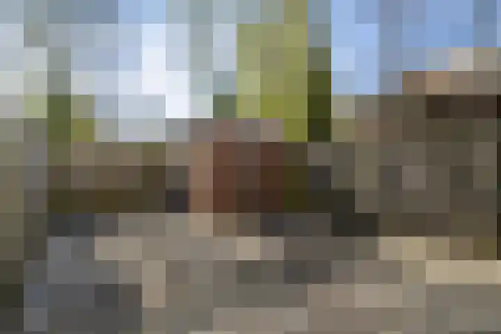 Castricumhoeve 25 Vlaardingen thumbnail 6