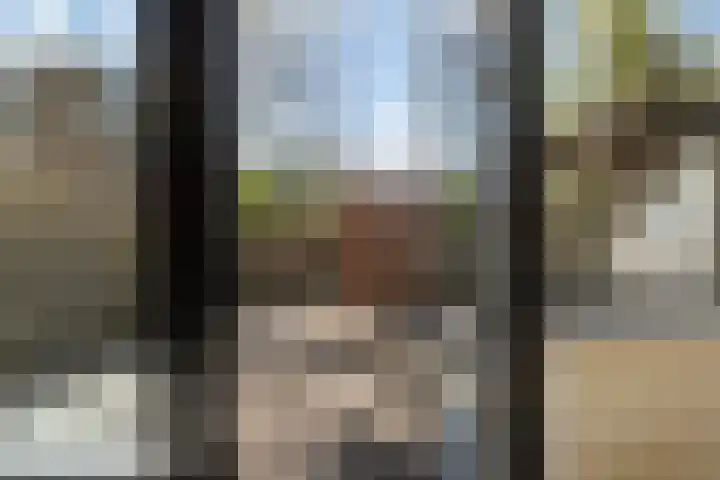 Castricumhoeve 25 Vlaardingen thumbnail 9