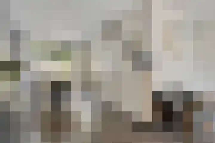 Castricumhof 41 Arnhem thumbnail 10