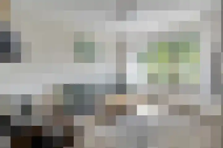 Castricumhof 41 Arnhem thumbnail 11