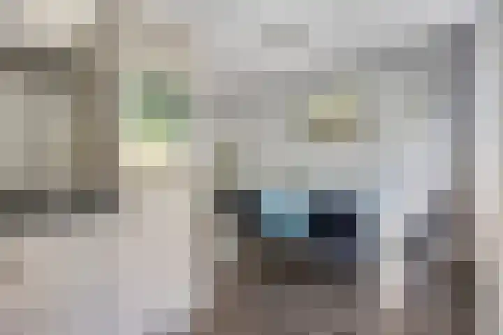 Castricumhof 41 Arnhem thumbnail 17