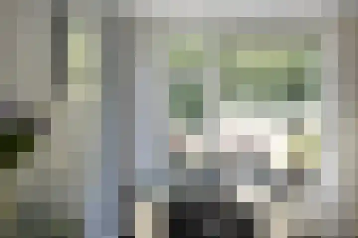 Castricumhof 41 Arnhem thumbnail 19