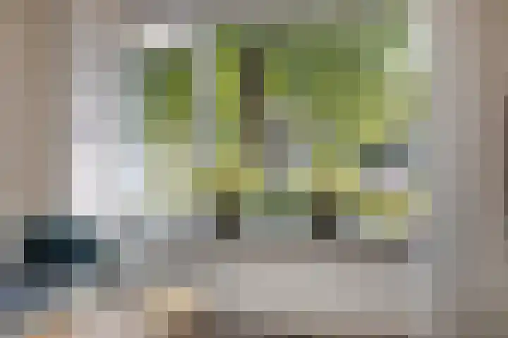 Castricumhof 41 Arnhem thumbnail 20