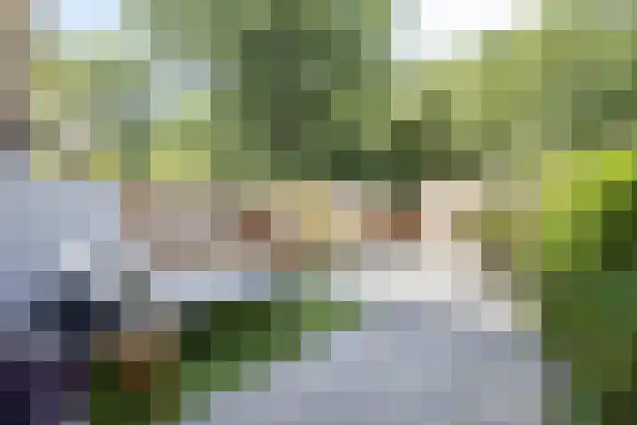 Castricumhof 41 Arnhem thumbnail 21