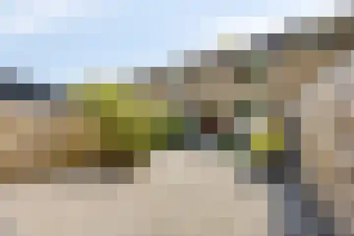 Castricumhof 41 Arnhem thumbnail 23