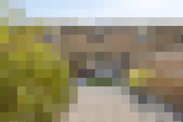 Castricumhof 41 Arnhem thumbnail 24