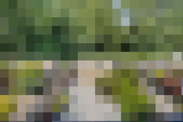 Castricumhof 41 Arnhem thumbnail 28