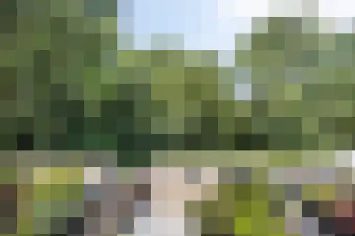 Castricumhof 41 Arnhem thumbnail 30