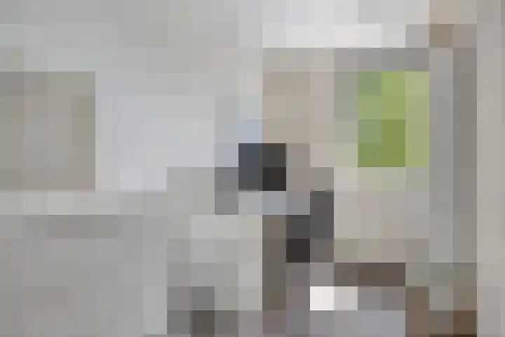 Castricumhof 41 Arnhem thumbnail 34
