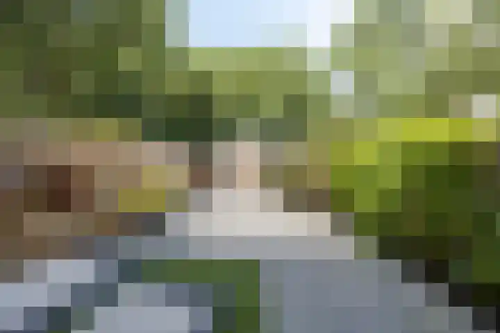 Castricumhof 41 Arnhem thumbnail 4